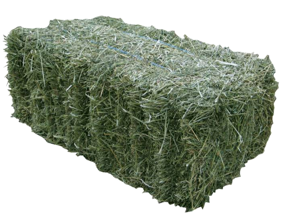 Сіно сіяне злакове, ДСТУ 4674, 1 кг